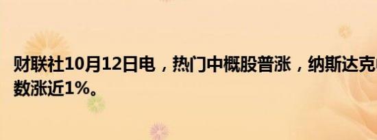 财联社10月12日电，热门中概股普涨，纳斯达克中国金龙指数涨近1%。
