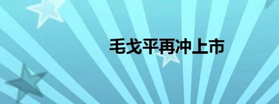 毛戈平再冲上市
