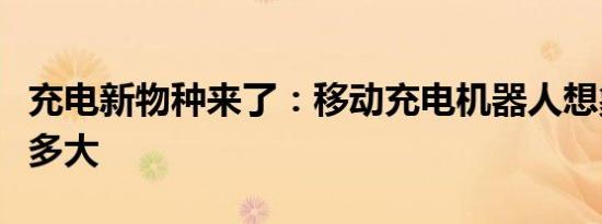 充电新物种来了：移动充电机器人想象空间有多大
