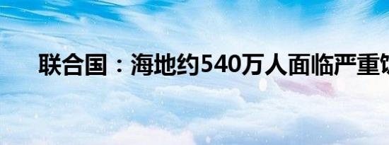 联合国：海地约540万人面临严重饥饿