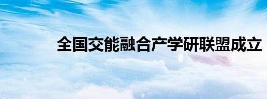 全国交能融合产学研联盟成立
