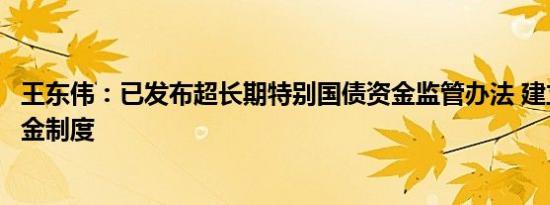 王东伟：已发布超长期特别国债资金监管办法 建立常见备付金制度