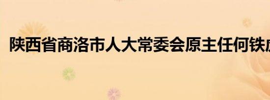 陕西省商洛市人大常委会原主任何铁虎被查
