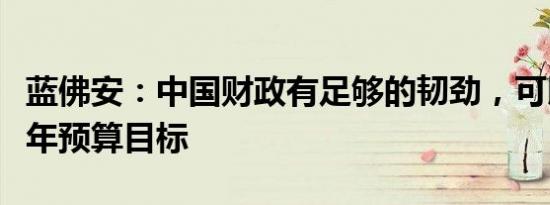 蓝佛安：中国财政有足够的韧劲，可以完成今年预算目标