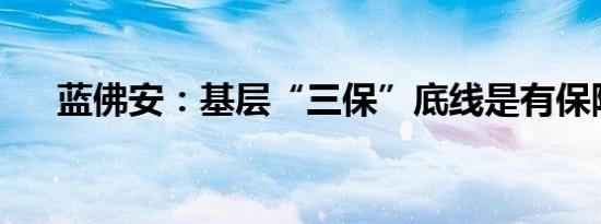 蓝佛安：基层“三保”底线是有保障的