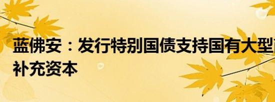 蓝佛安：发行特别国债支持国有大型商业银行补充资本