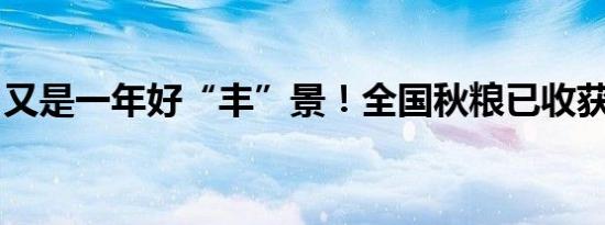 又是一年好“丰”景！全国秋粮已收获59.8%