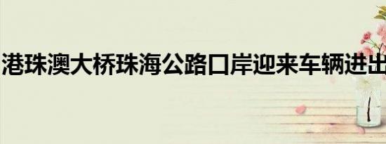 港珠澳大桥珠海公路口岸迎来车辆进出境高峰