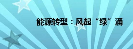 能源转型：风起“绿”涌