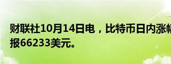 财联社10月14日电，比特币日内涨幅达6％，报66233美元。
