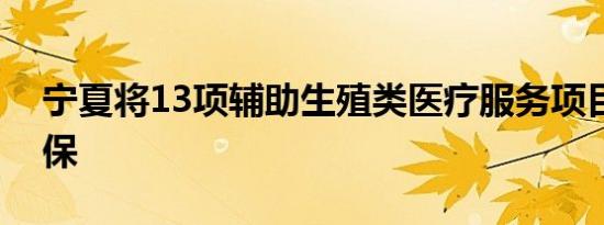 宁夏将13项辅助生殖类医疗服务项目纳入医保
