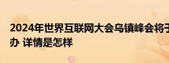 2024年世界互联网大会乌镇峰会将于11月举办 详情是怎样