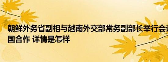 朝鲜外务省副相与越南外交部常务副部长举行会谈，讨论两国合作 详情是怎样