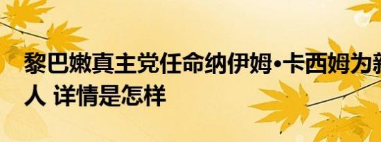 黎巴嫩真主党任命纳伊姆·卡西姆为新任领导人 详情是怎样