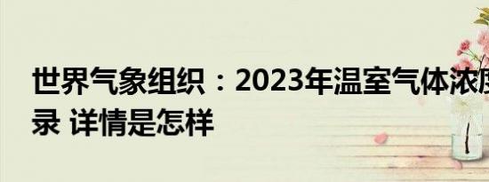 世界气象组织：2023年温室气体浓度创新纪录 详情是怎样