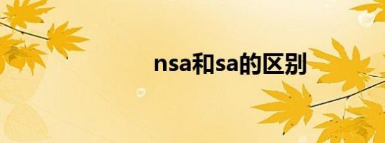 nsa和sa的区别