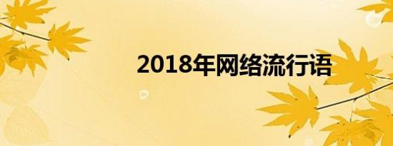 2018年网络流行语