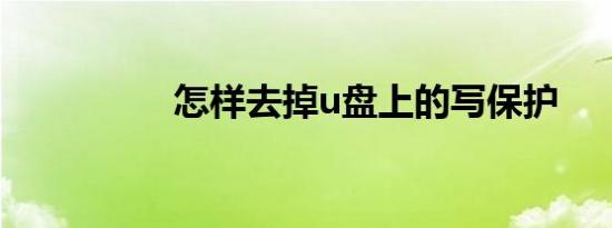 怎样去掉u盘上的写保护