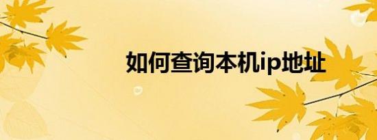 如何查询本机ip地址