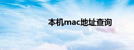 本机mac地址查询