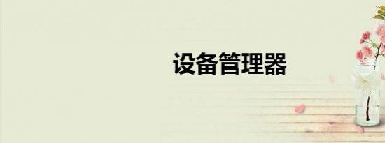 设备管理器