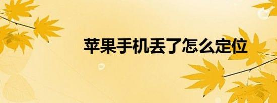 苹果手机丢了怎么定位