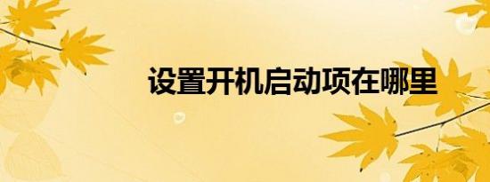 设置开机启动项在哪里