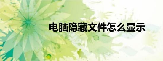 电脑隐藏文件怎么显示
