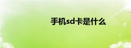 手机sd卡是什么