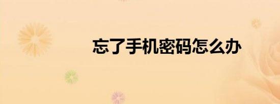 忘了手机密码怎么办