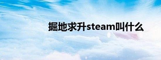 掘地求升steam叫什么