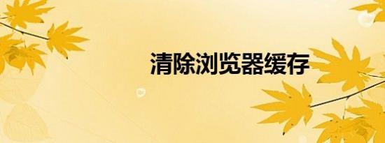清除浏览器缓存