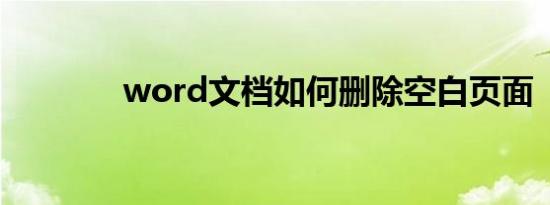 word文档如何删除空白页面