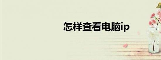 怎样查看电脑ip