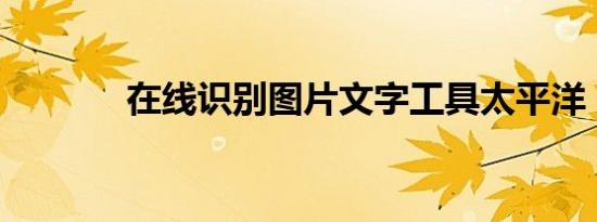 在线识别图片文字工具太平洋