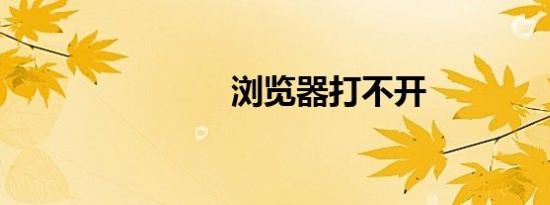 浏览器打不开