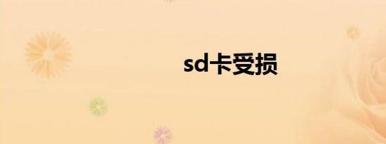 sd卡受损