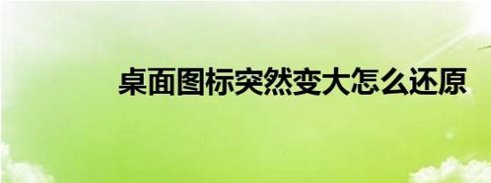 桌面图标突然变大怎么还原