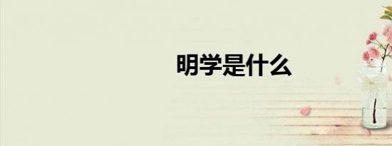 明学是什么