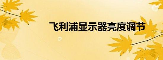 飞利浦显示器亮度调节
