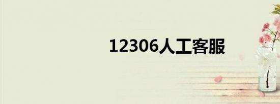 12306人工客服