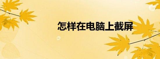 怎样在电脑上截屏