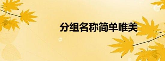 分组名称简单唯美
