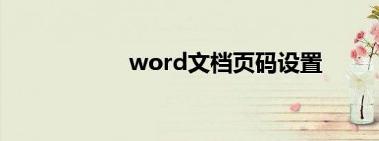 word文档页码设置