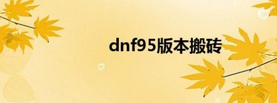 dnf95版本搬砖
