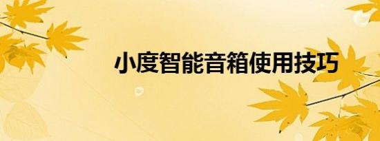 小度智能音箱使用技巧