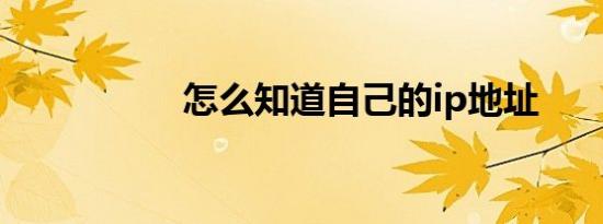 怎么知道自己的ip地址