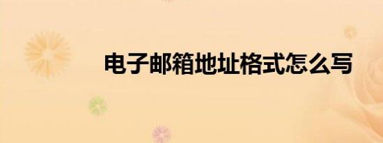 电子邮箱地址格式怎么写