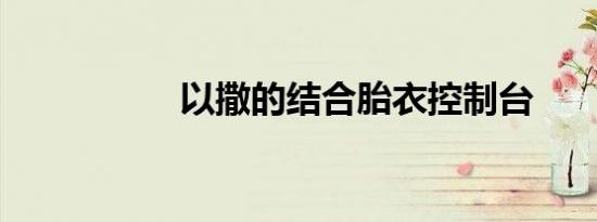 以撒的结合胎衣控制台