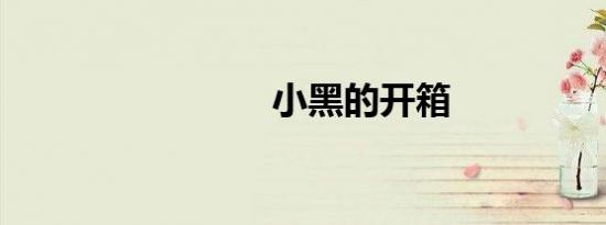 小黑的开箱